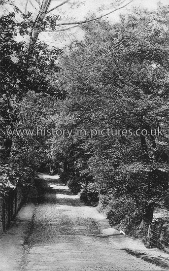 Street Scenes - Great Britain - England - Essex - Buckhurst Hill - Old ...