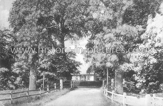 Street Scenes - Great Britain - England - Essex - Dunmow - Bowyer's ...