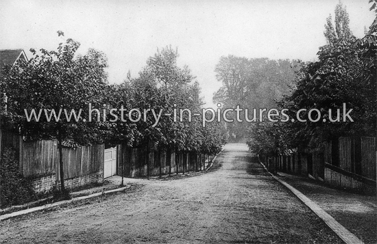 Street Scenes - Great Britain - England - Essex - Ingatestone - Avenue ...