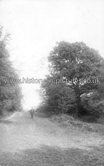 Street Scenes - Great Britain - England - Essex - Epping Forest - Old ...