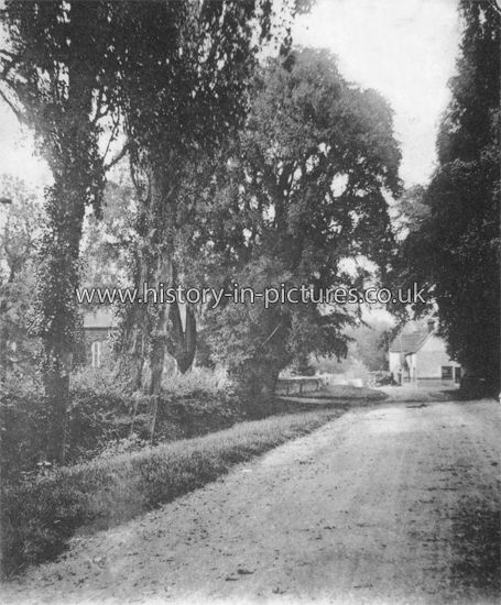 Street Scenes - Great Britain - England - Essex - Willingale - The ...